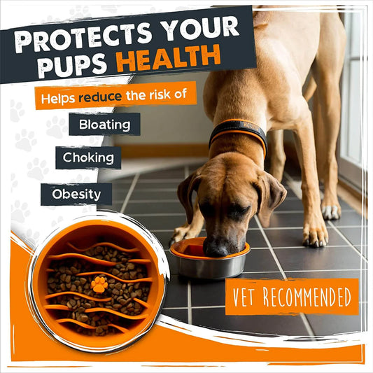 Mighty Paw Slow Feeder Insert Bowl