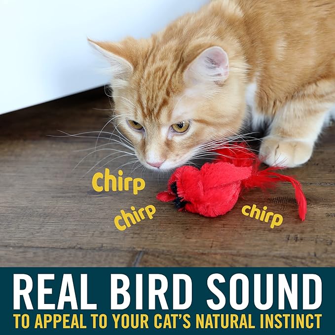 OUR PETS PLAY-N-SQUEAK Cat Real Birds Fly Over