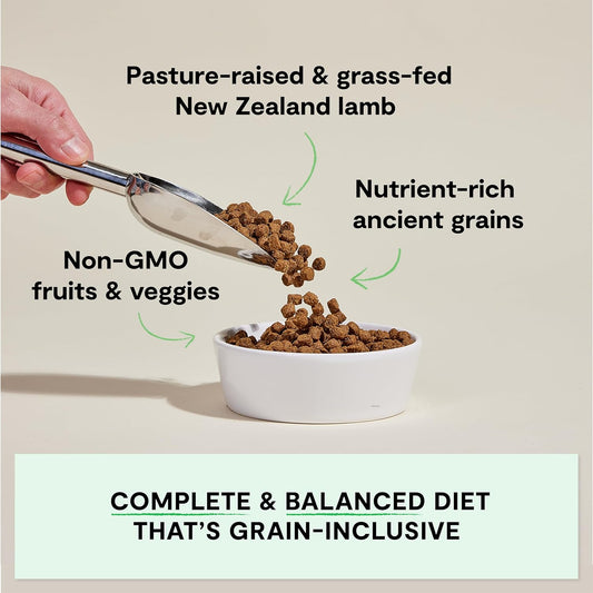 Pasture-Raised Lamb & Ancient Grains Dog Kibble