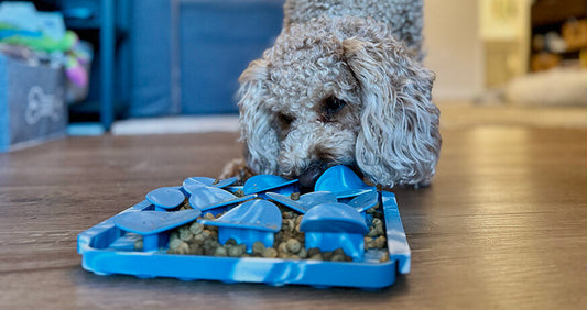 Tall Tails Foraging Mat - River Rock