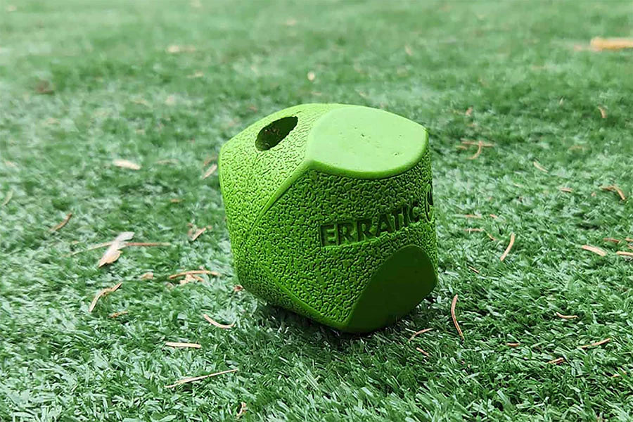 Chuck It! Erratic Ball Medium