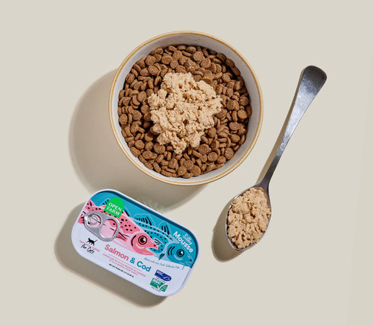 Salmon & Cod Topper for Cats