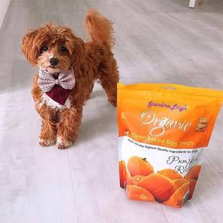 Grandma Lucy's Organic Oven Baked Pumpkin Treats For Dogs (14 oz)