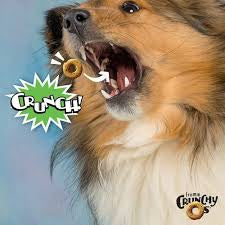 Crunchy Os Pumpkin Kran POW® Flavor Dog Treats