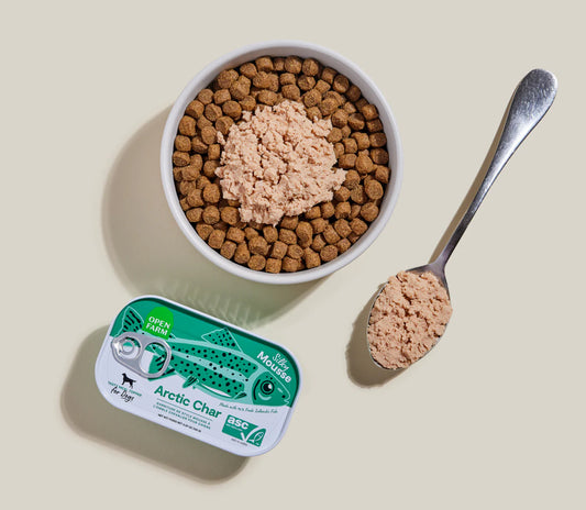 Arctic Char Topper for Cats