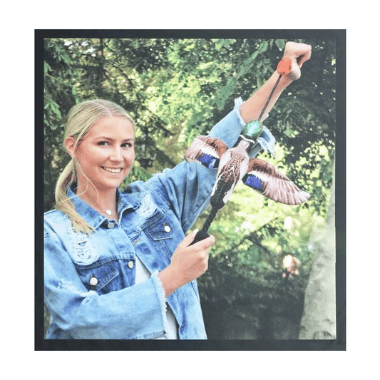 Fly & Fetch Launching Phesant