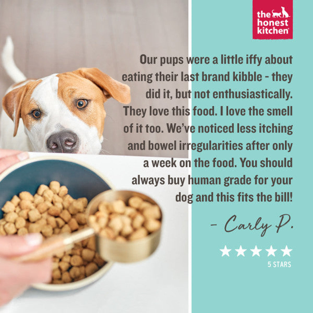 The Honest Kitchen Grain Free Beef Recipe