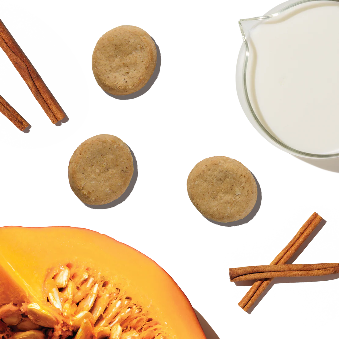 The Honest Kitchen Goat's Milk N' Cookies Pumpkin Cinnamon