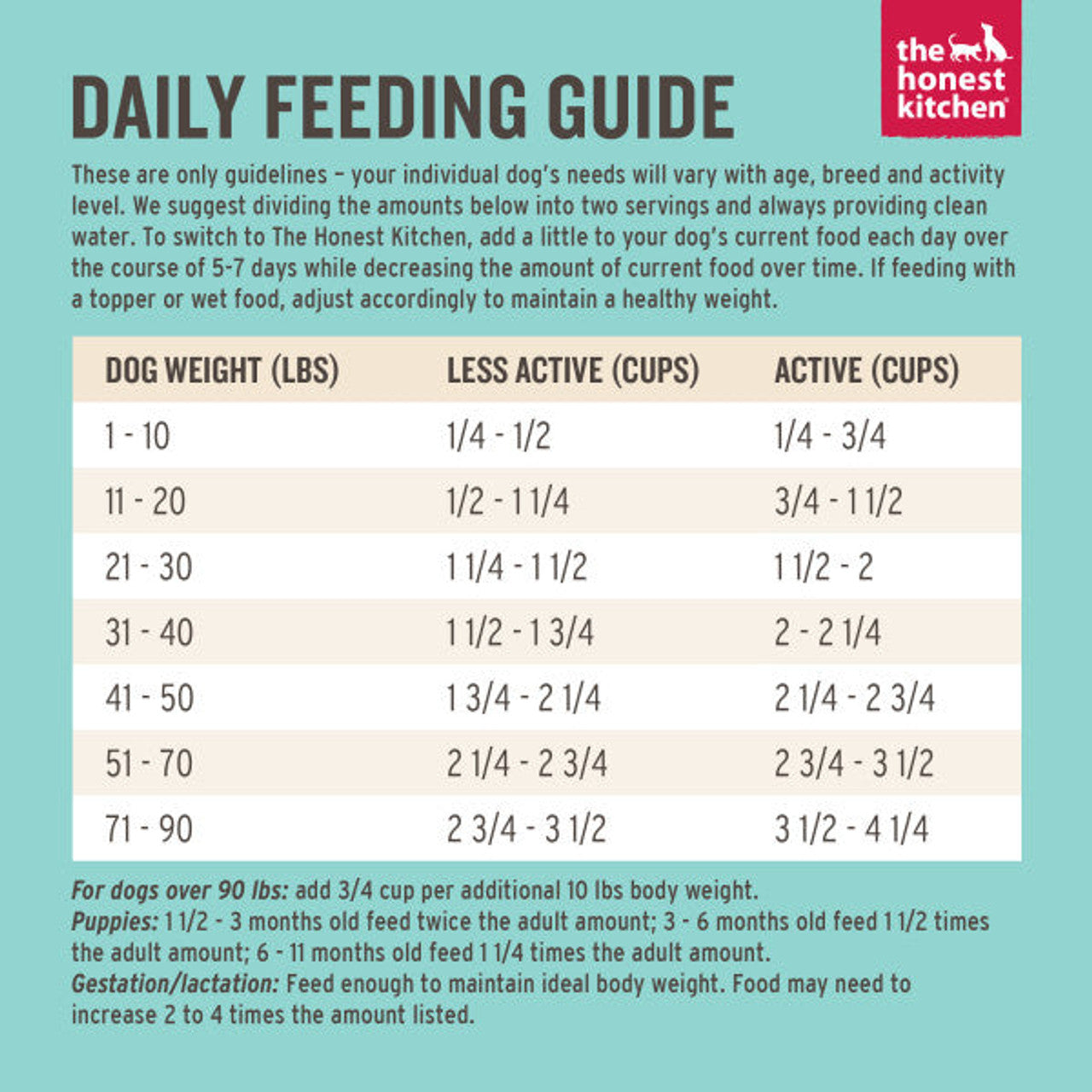The Honest Kitchen Grain Free Beef Recipe