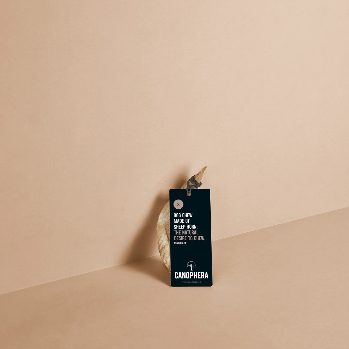 Canophera Sheep Horn - Small