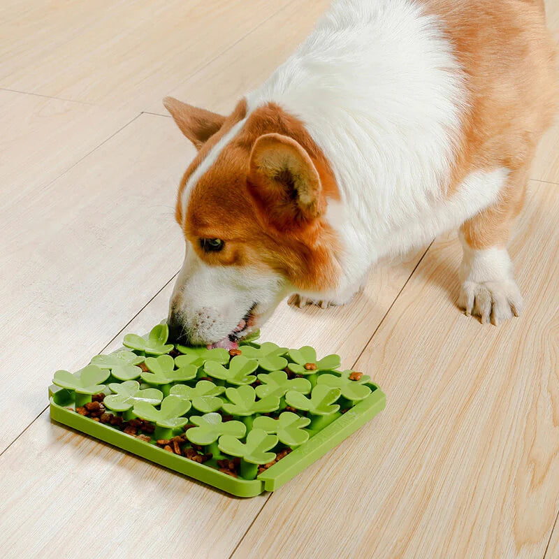 Tall Tails Foraging Mat - Spring Clover