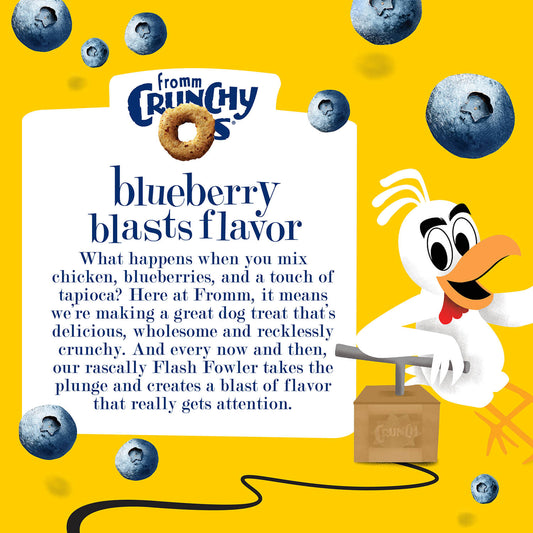 Advertisement for Fromm Crunchy Os dog treats with a cartoon duck character and blueberries on a yellow background.