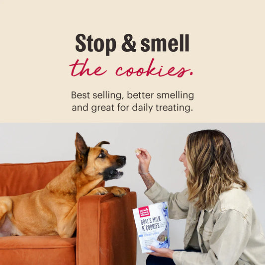 The Honest Kitchen Goat's Milk N' Cookies Pumpkin Cinnamon