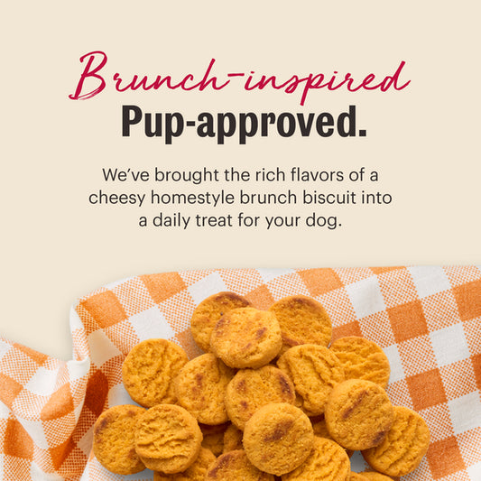 Independent pet store in Damascus Virginia offering premium dog treats near Abingdon