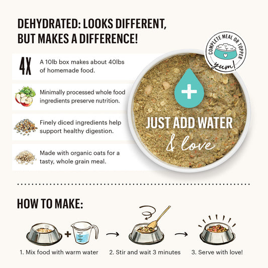 The Honest Kitchen One Pot Stew Braised Beef & Lamb Stew with Green Beans & Sweet Potatoes DOG Food 10.5 oz Carton