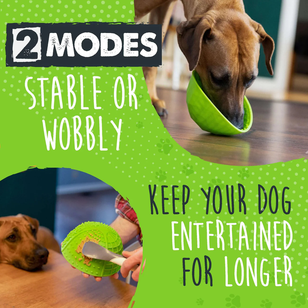 Mighty Paw - Lick Bowl
