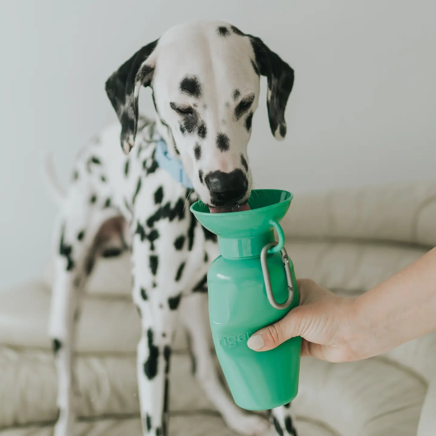 Dog Travel Water Bottle, 22oz