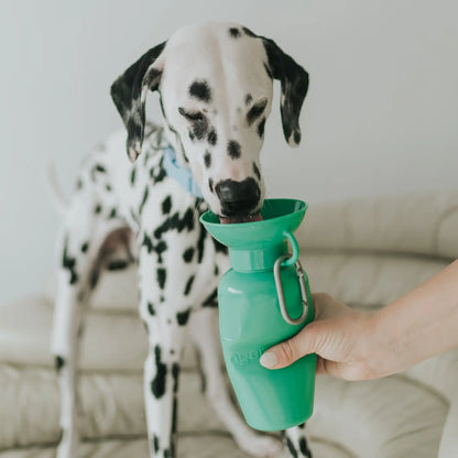 Dog Travel Water Bottle, 22oz
