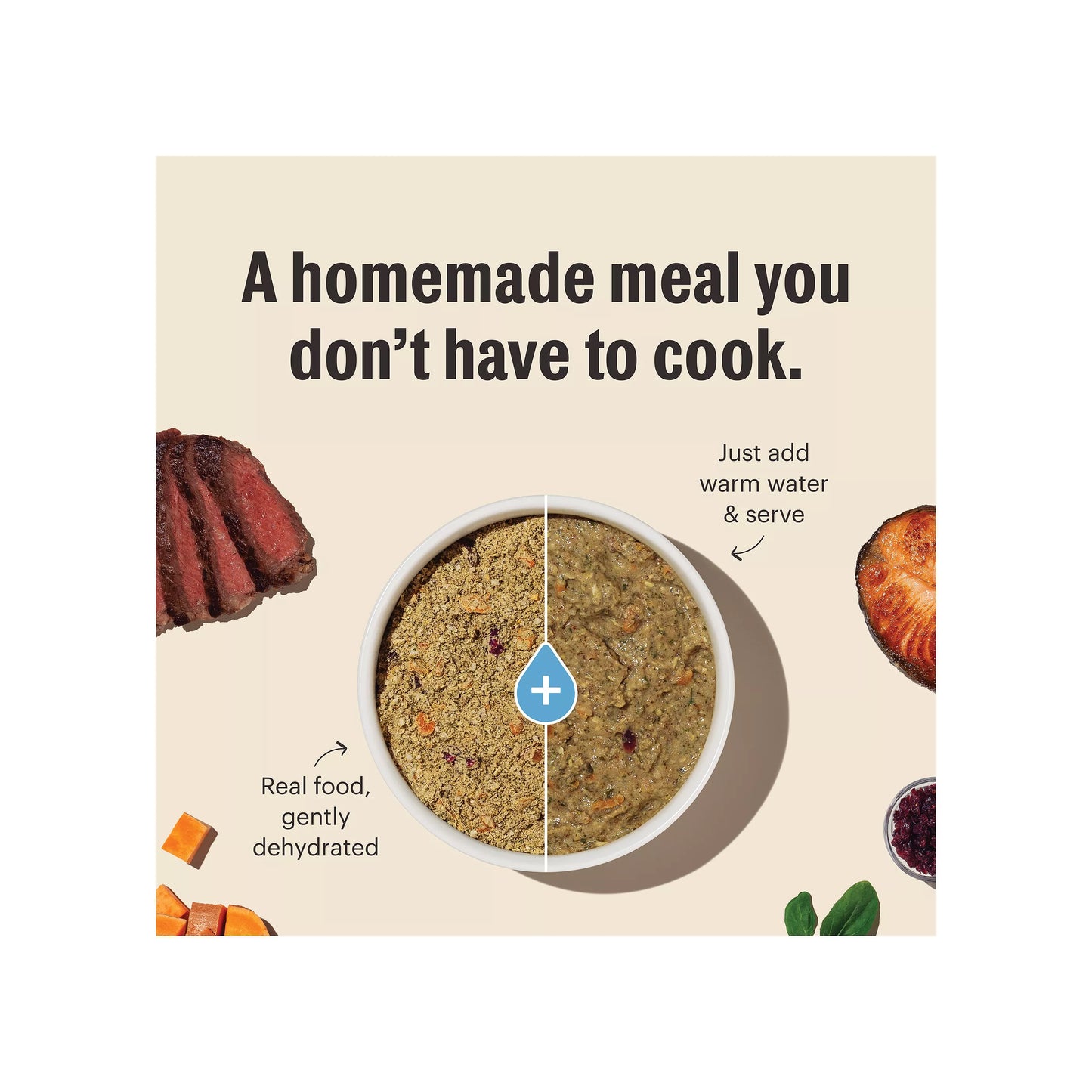 The Honest Kitchen - Chicken Recipe