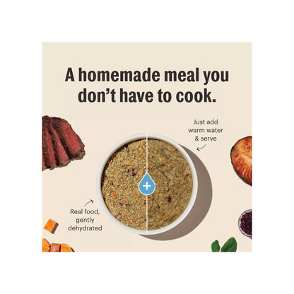 The Honest Kitchen - Chicken Recipe