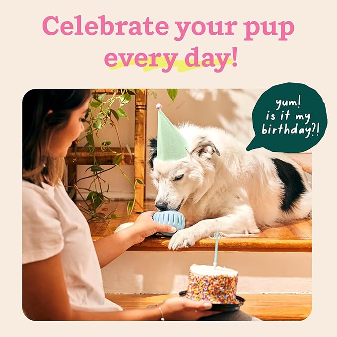 Pupsicle Small - Blue