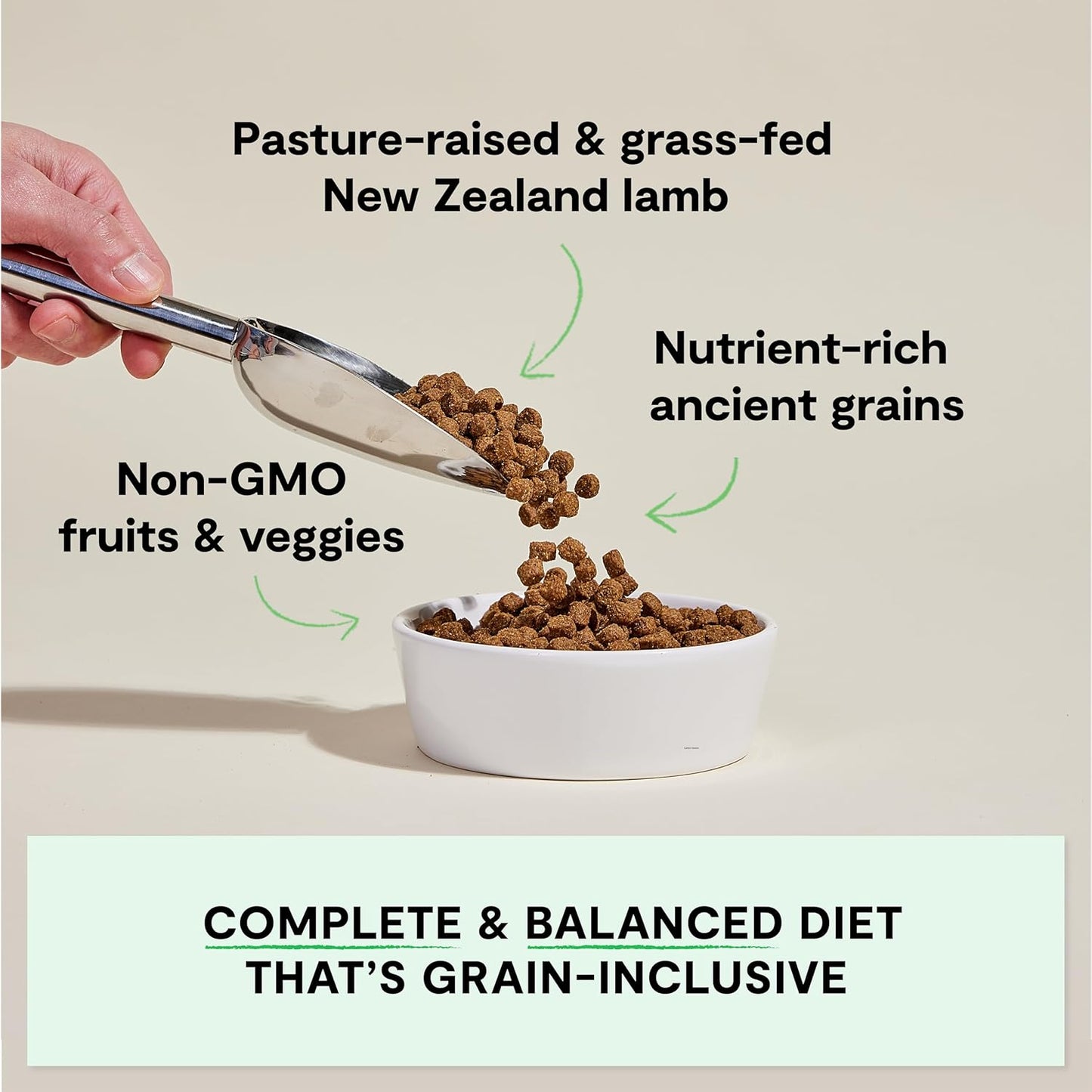 Pasture-Raised Lamb & Ancient Grains Dog Kibble