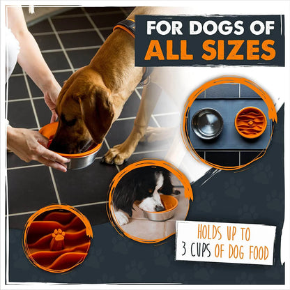 Mighty Paw Slow Feeder Insert Bowl