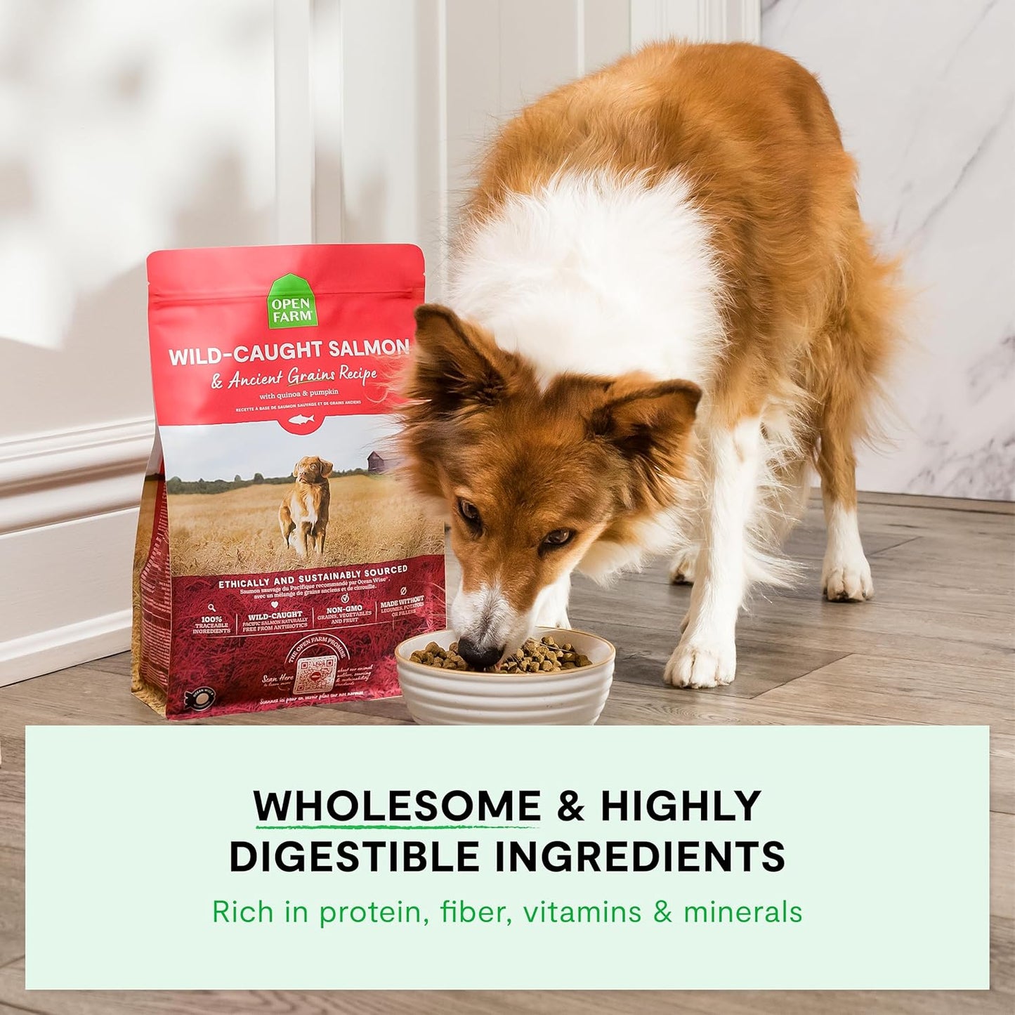 Pasture-Raised Lamb & Ancient Grains Dog Kibble