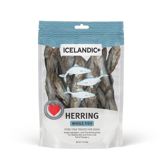 Icelandic+ Herring Whole Fish