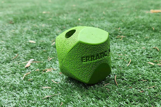 Chuck It! Erratic Ball Medium