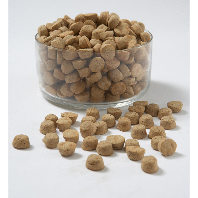 Independent Pet Store located in Damascus, Virginia...near Abingdon Virginia in Washington County Virginia offering premium dog food called Carna4. 