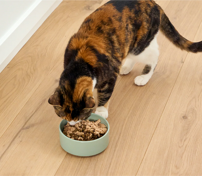 Salmon & Cod Topper for Cats