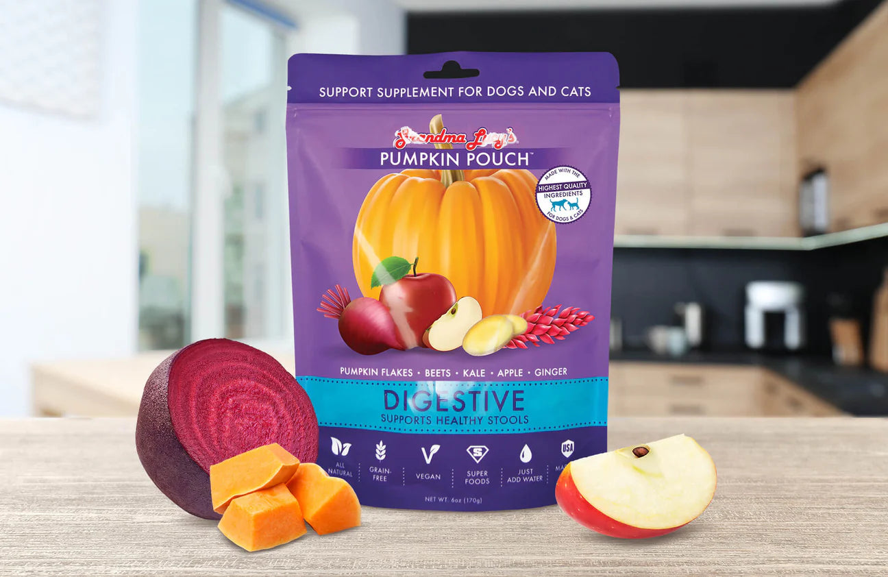 Grandma Lucy's Pumpkin Pouch