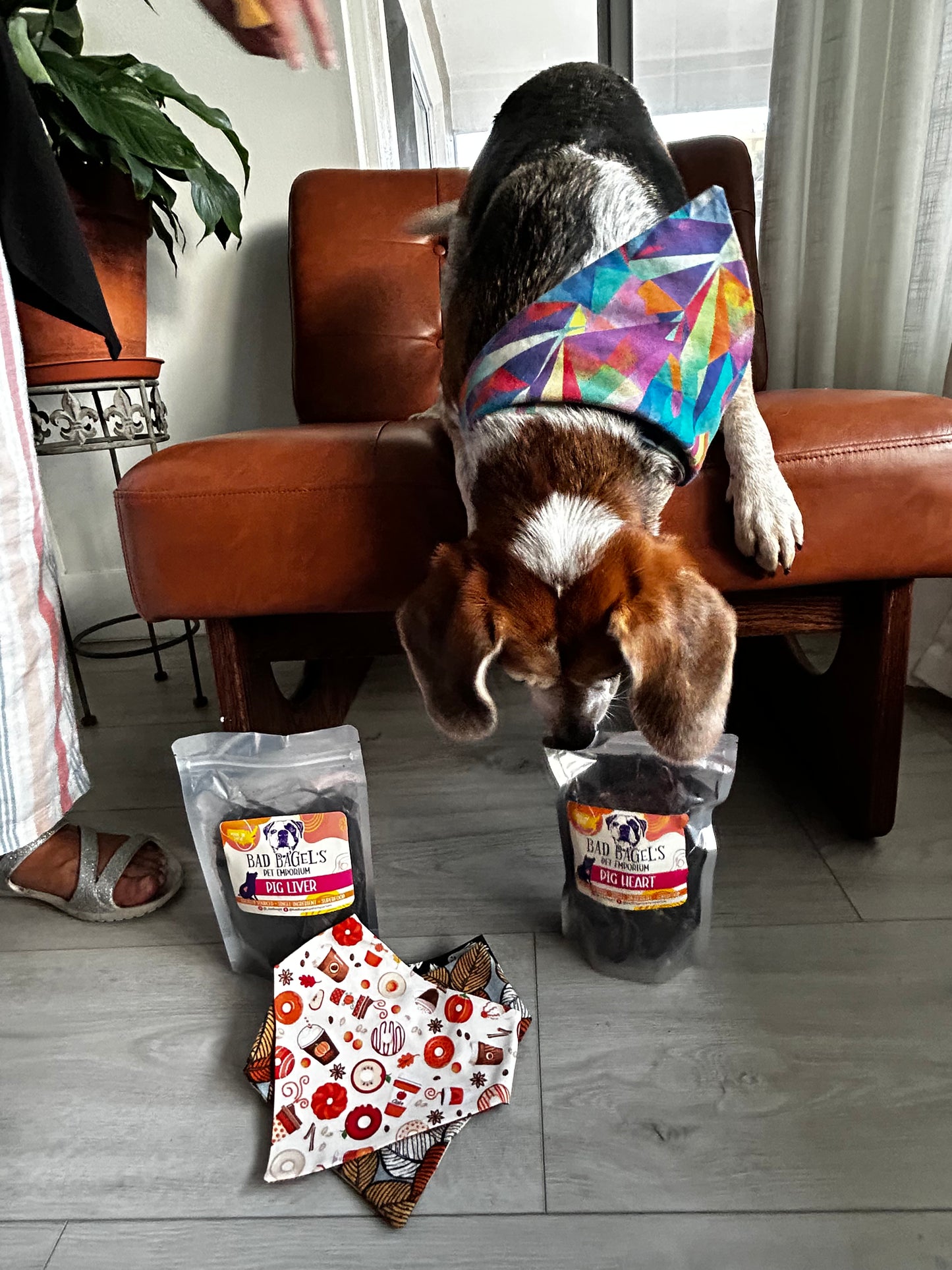 Air Dried  Cow Liver Dog Treats 1.5oz