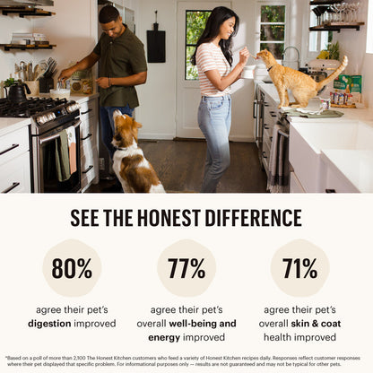 The Honest Kitchen Gourmet Grains Turkey & White Fish Recipe Dehydrated DOG Food 4 lb Box
