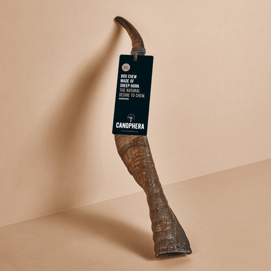 Canophera Sheep Horn - X-Large