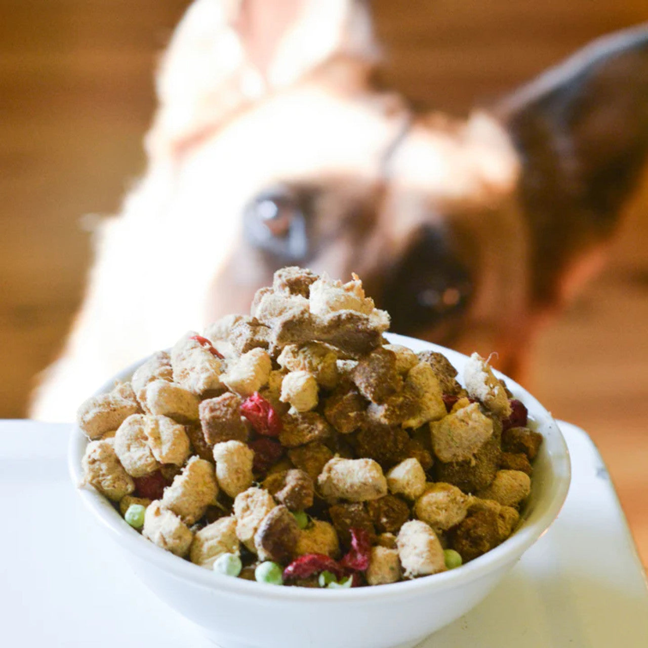 The Simple Food Project DOG Food - Duck & Trout Recipe 24 oz (1.5 lbs)