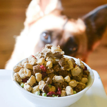 The Simple Food Project DOG Food - Duck & Trout Recipe 24 oz (1.5 lbs)