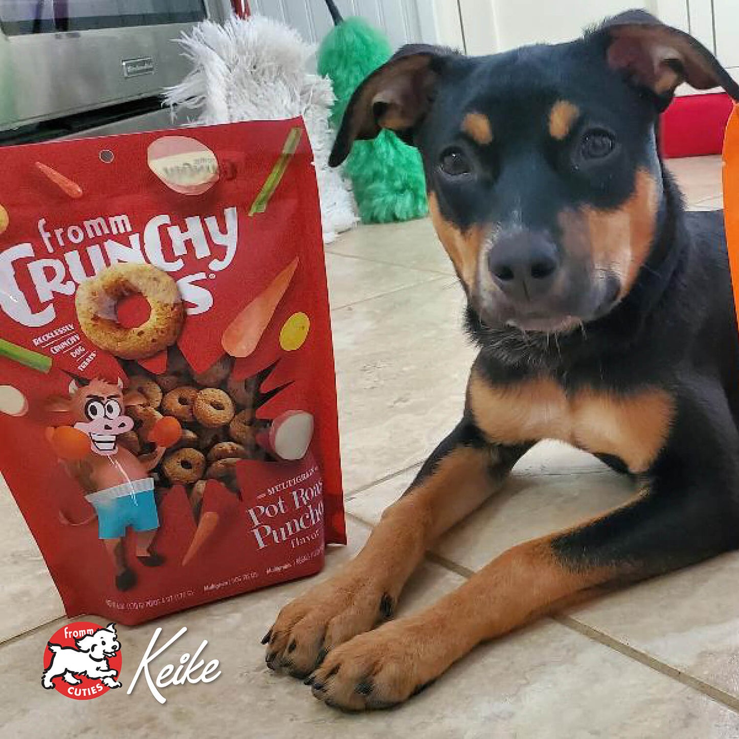 FROMM DOG CRUNCHY O'S POTROAST PUNCHER 6OZ