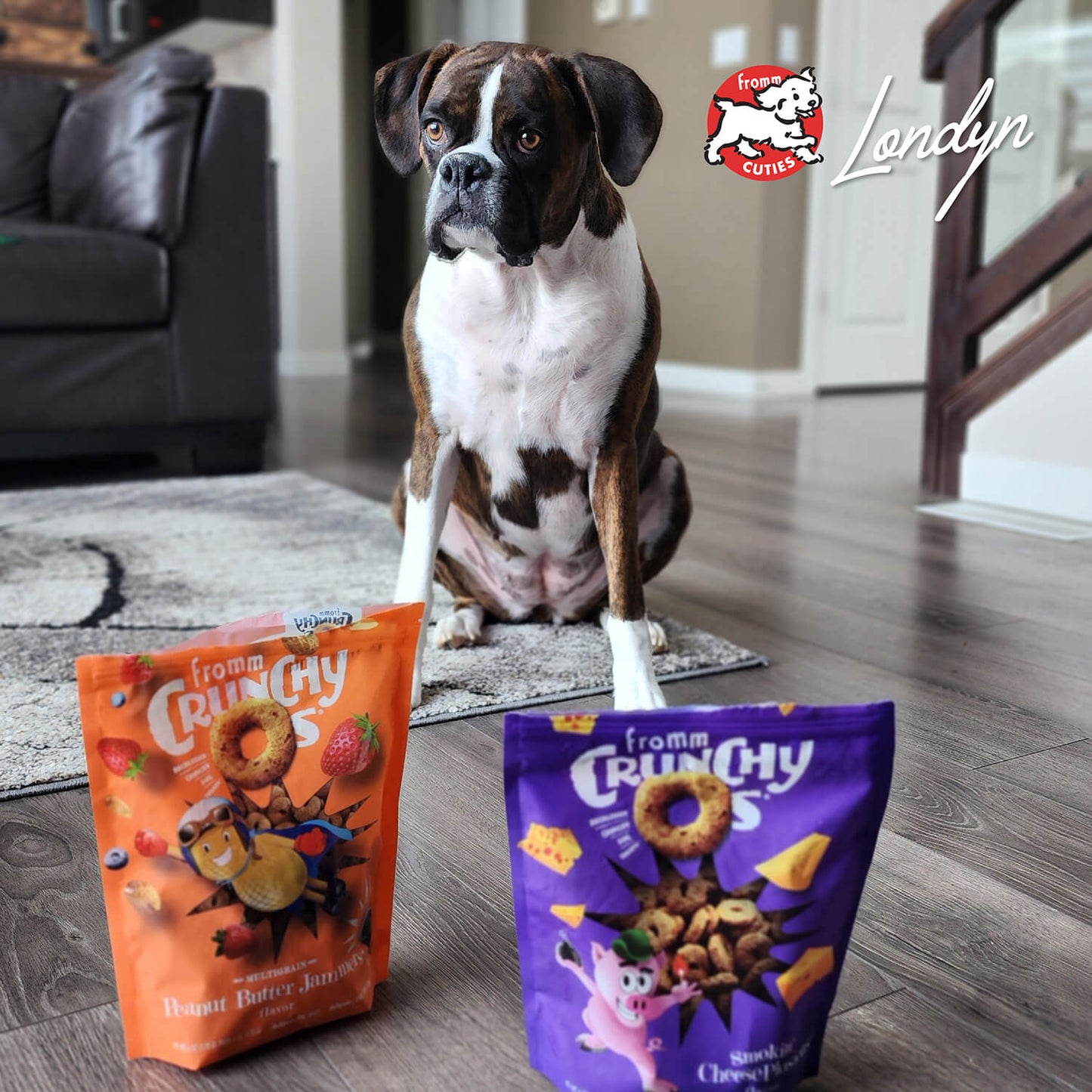Dog sitting on a rug with two bags of Crunchy Frogs snacks in front of it, with the Lendyn brand logo visible.