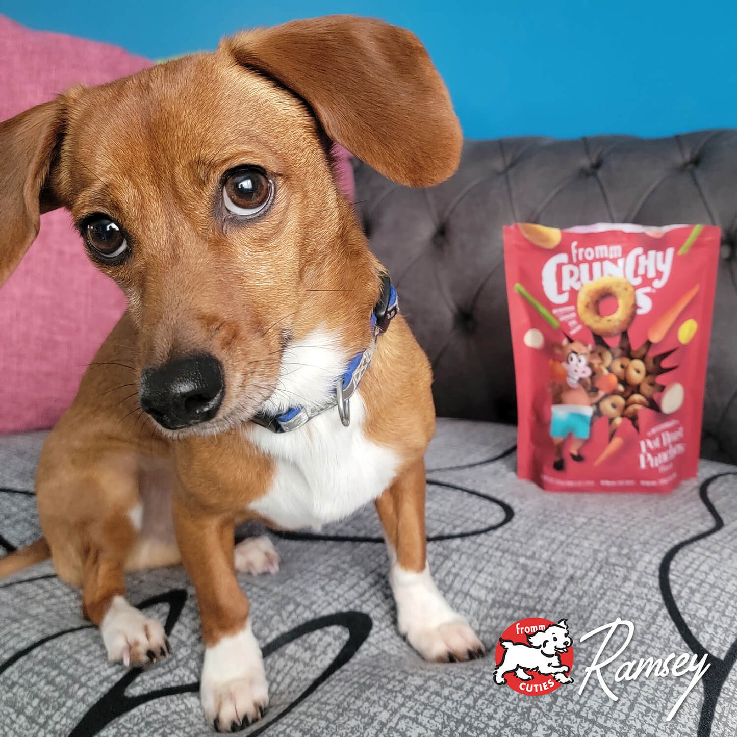 FROMM DOG CRUNCHY O'S POTROAST PUNCHER 6OZ