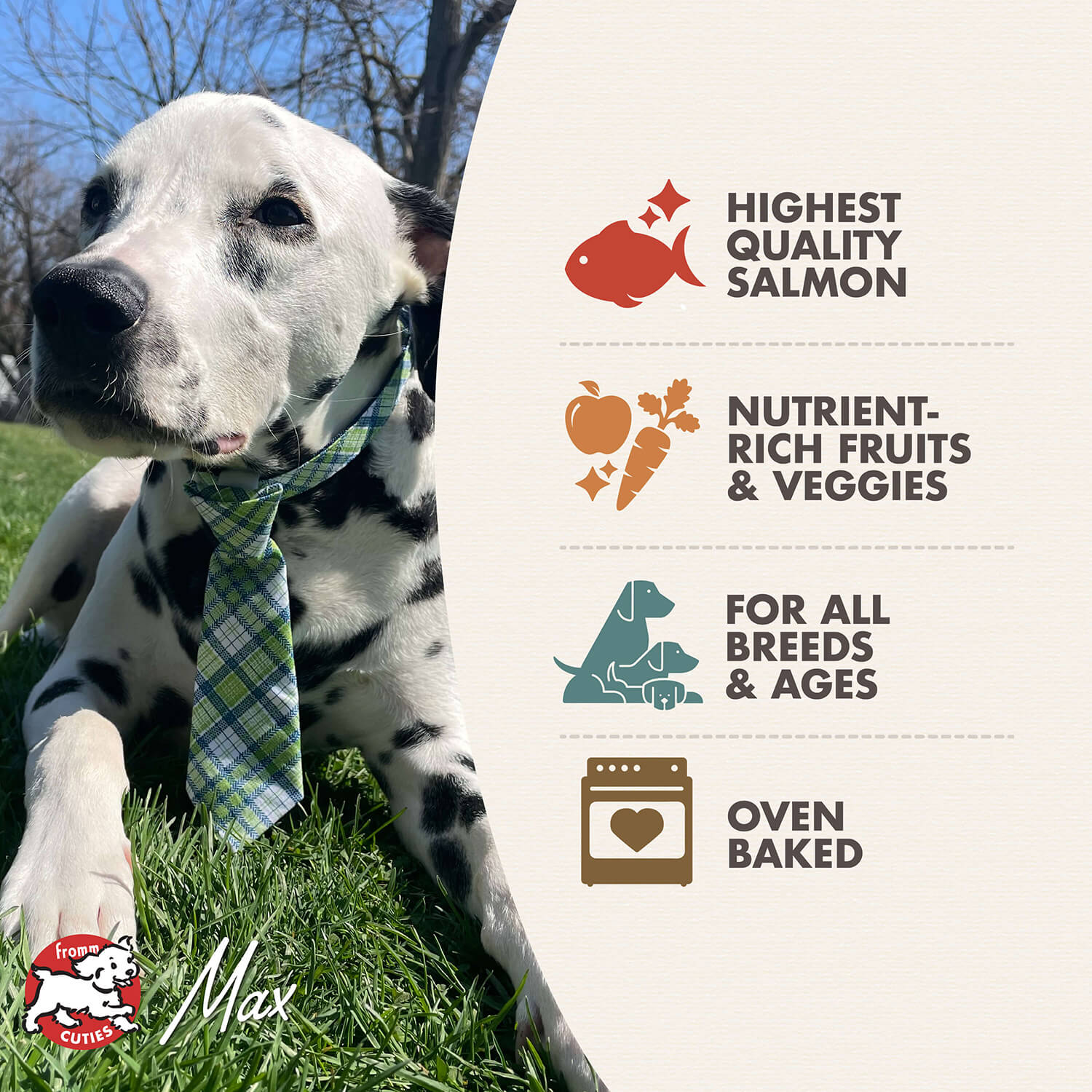 Dog sitting on grass with a product label about salmon, fruits, vegetables, and oven-baked items.