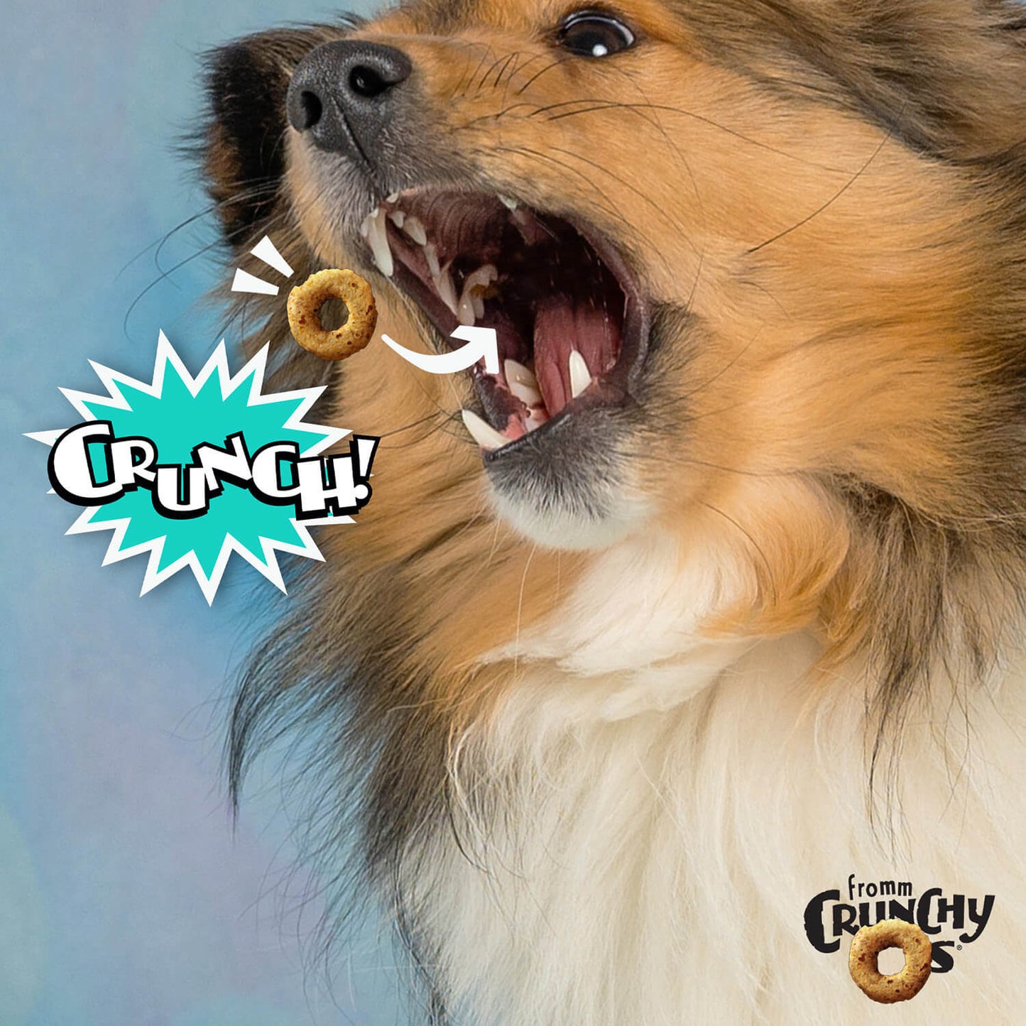 Dog with an open mouth, a cracker in its mouth, and 'CRUNCH!'  in Damascus Virginia