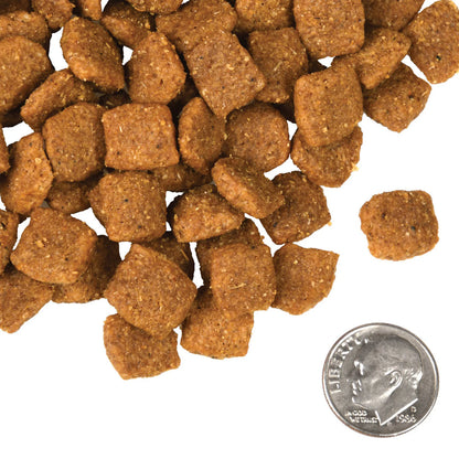Fromm Four Star Chicken A La Veg Grain Inclusive Recipe Dry Dog Food 12lb