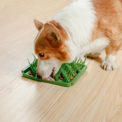 Tall Tails Foraging Mat - Grassy Meadow